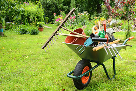 Picture for category Garden Tools and Wheelbarrows