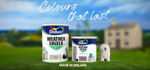 Picture of DULUX PAINT