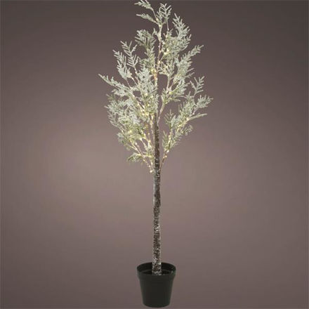 Picture of 1.8M LED PINE TREE WITH SNOW IN POT