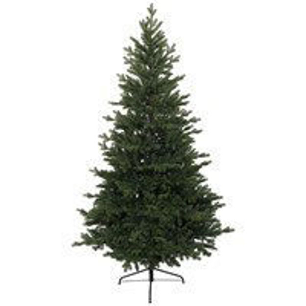 Picture of 2.1M NEVADA FIR CHRISTMAS TREE 7FT