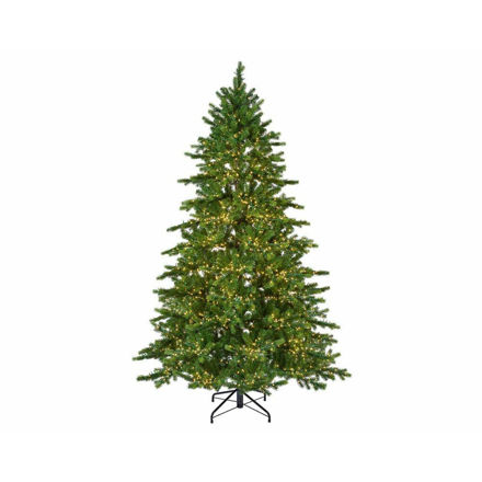 Picture of 2.1M PRE LIT GALLOWAY SPRUCE CHRISTMAS TREE