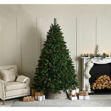 Picture of 2.1M BEN NEVIS PINE CHRISTMAS TREE 7FT