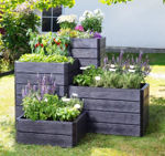 Picture of ERGO QUADRO RAISED BED SMALL 60X60CM