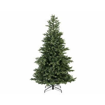 Picture of 2.1M GENEVA FIR CHRISTMAS TREE 7FT